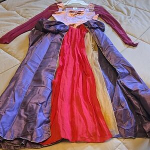 Hocus Pocus Costume Dress